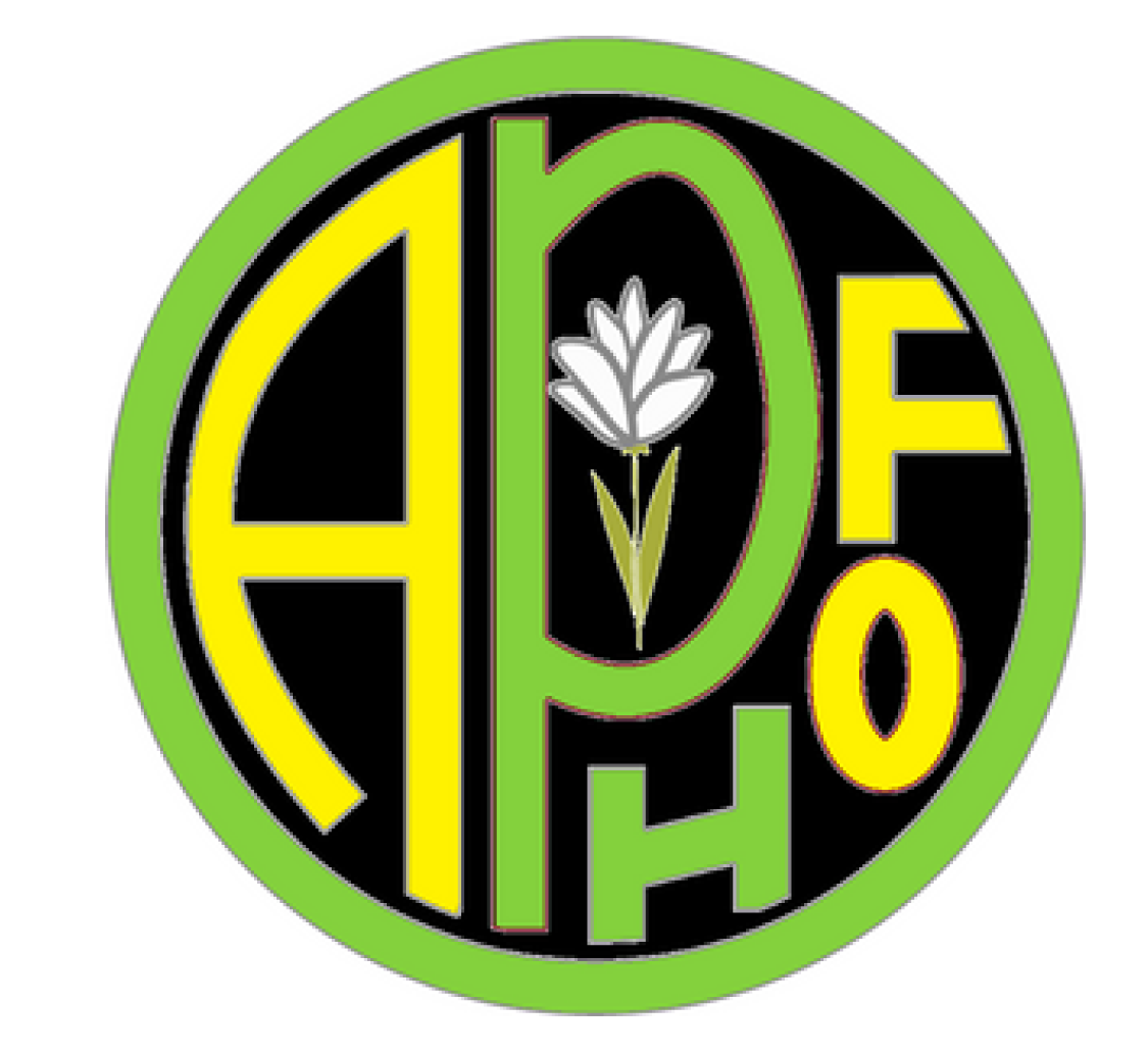 Green & Yellow – Freshman