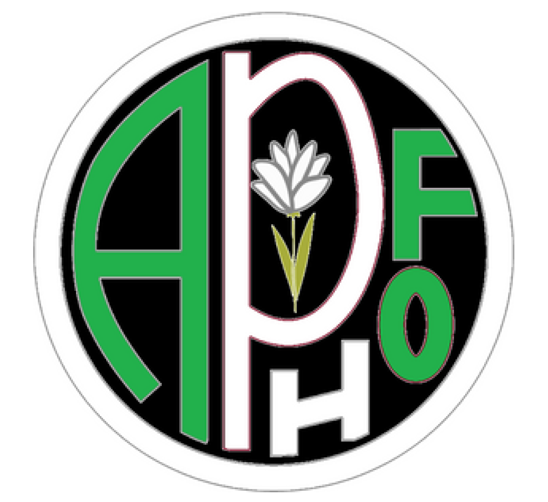 Green & White – Junior